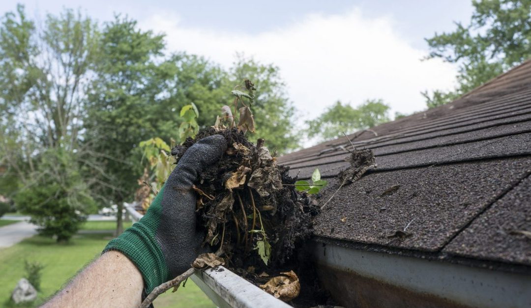 How to Clean your Gutters & Downspouts