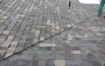 Owens Corning Roofing Shingle Color of the Year 2019 – Black Sable