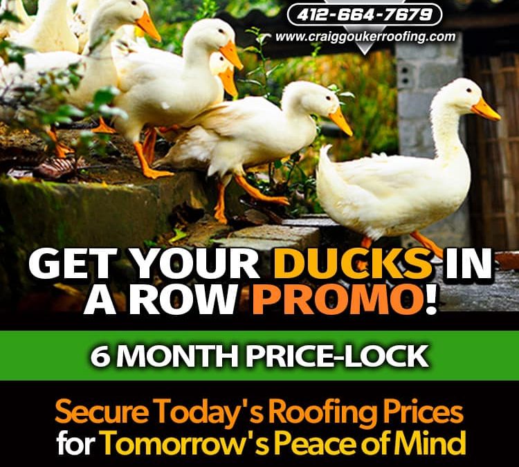 Get Your Ducks in a Row with Craig Gouker Roofing’s Special Promo!